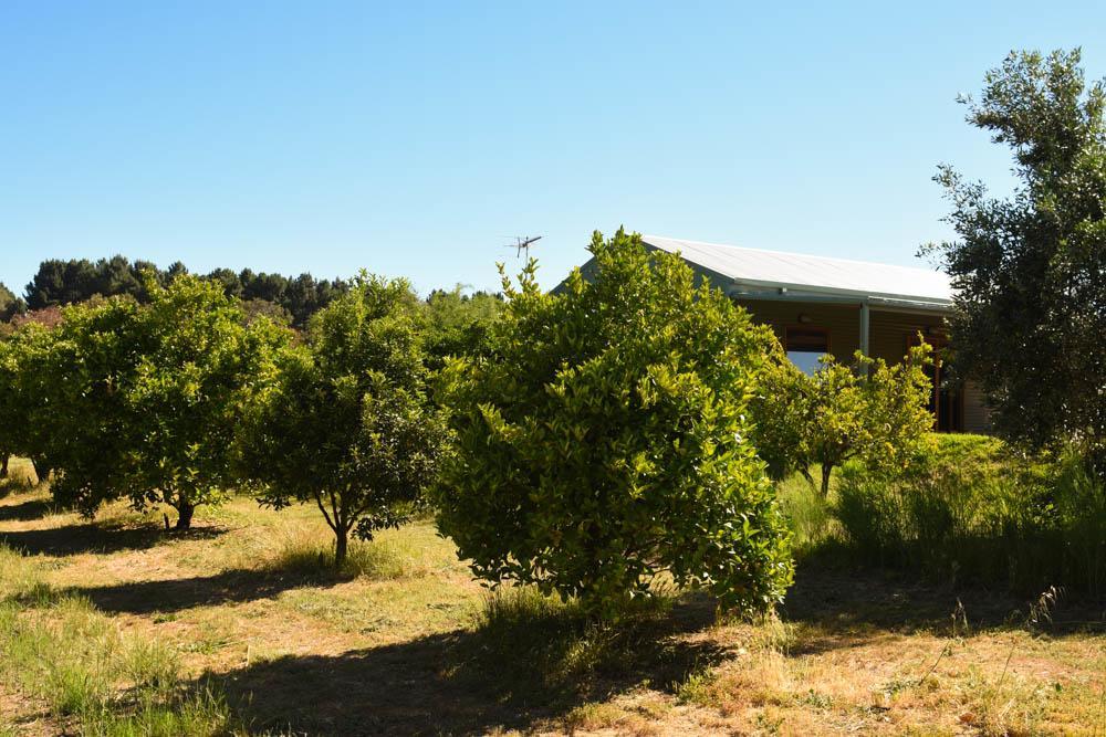 Swan Valley Sisters Henley Brook Экстерьер фото