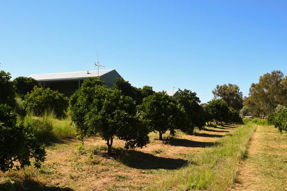 Swan Valley Sisters Henley Brook Экстерьер фото