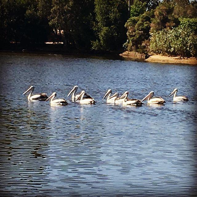 Swan Valley Sisters Henley Brook Экстерьер фото